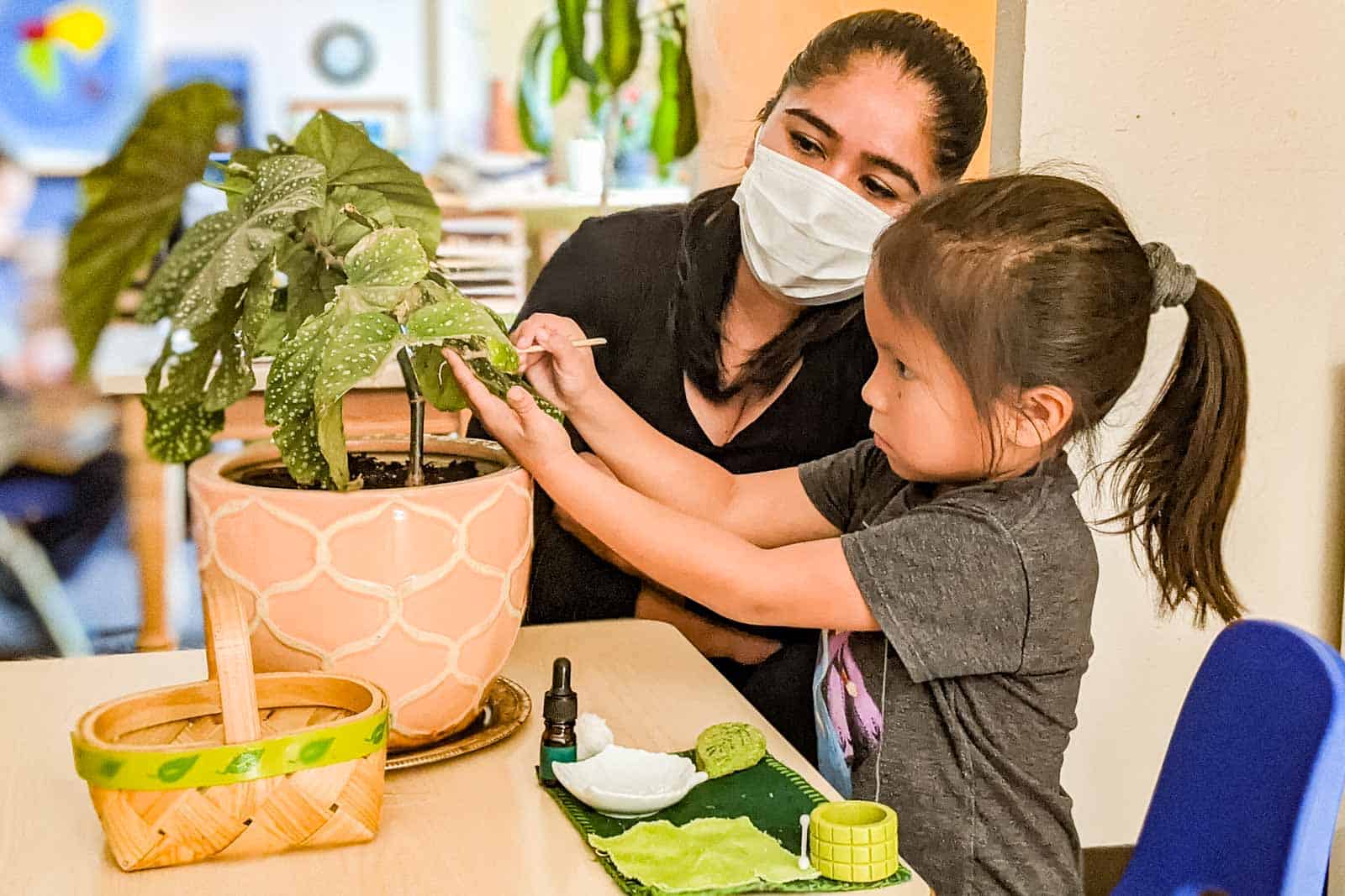 Montessori Classroom Working with Plants