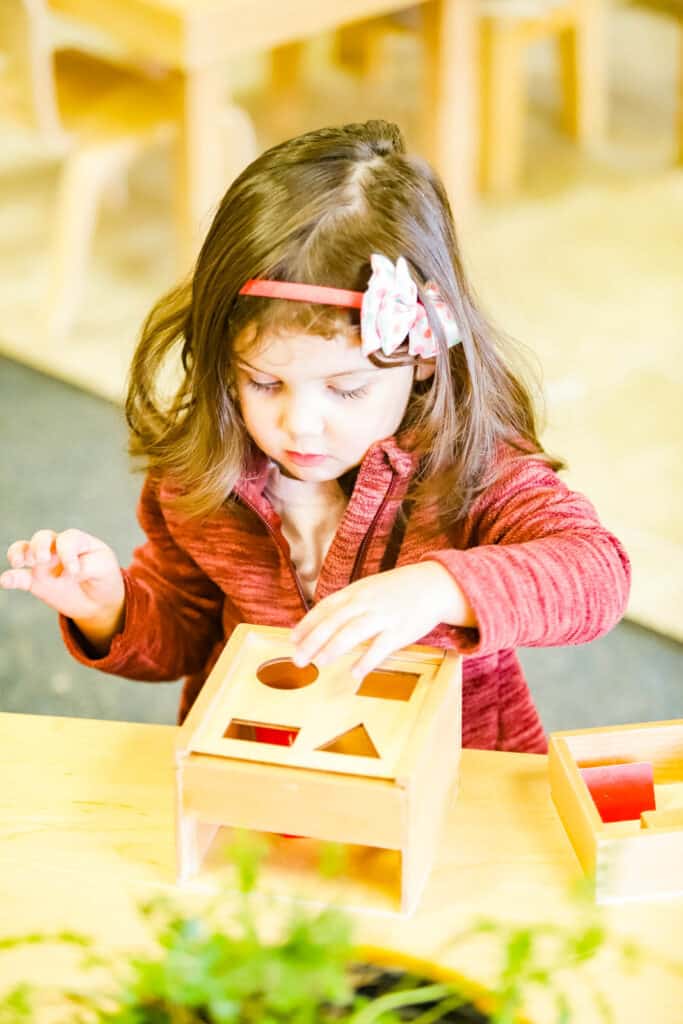 Montessori Classroom Puzzle